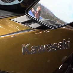 Kawasaki 310 ultra